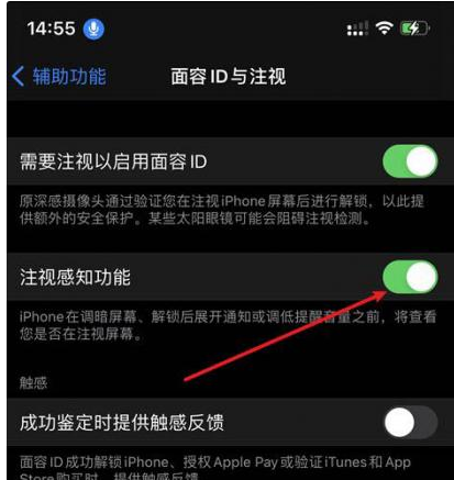 谢家集苹果14维修网点分享iPhone14注视感知功能有什么用 